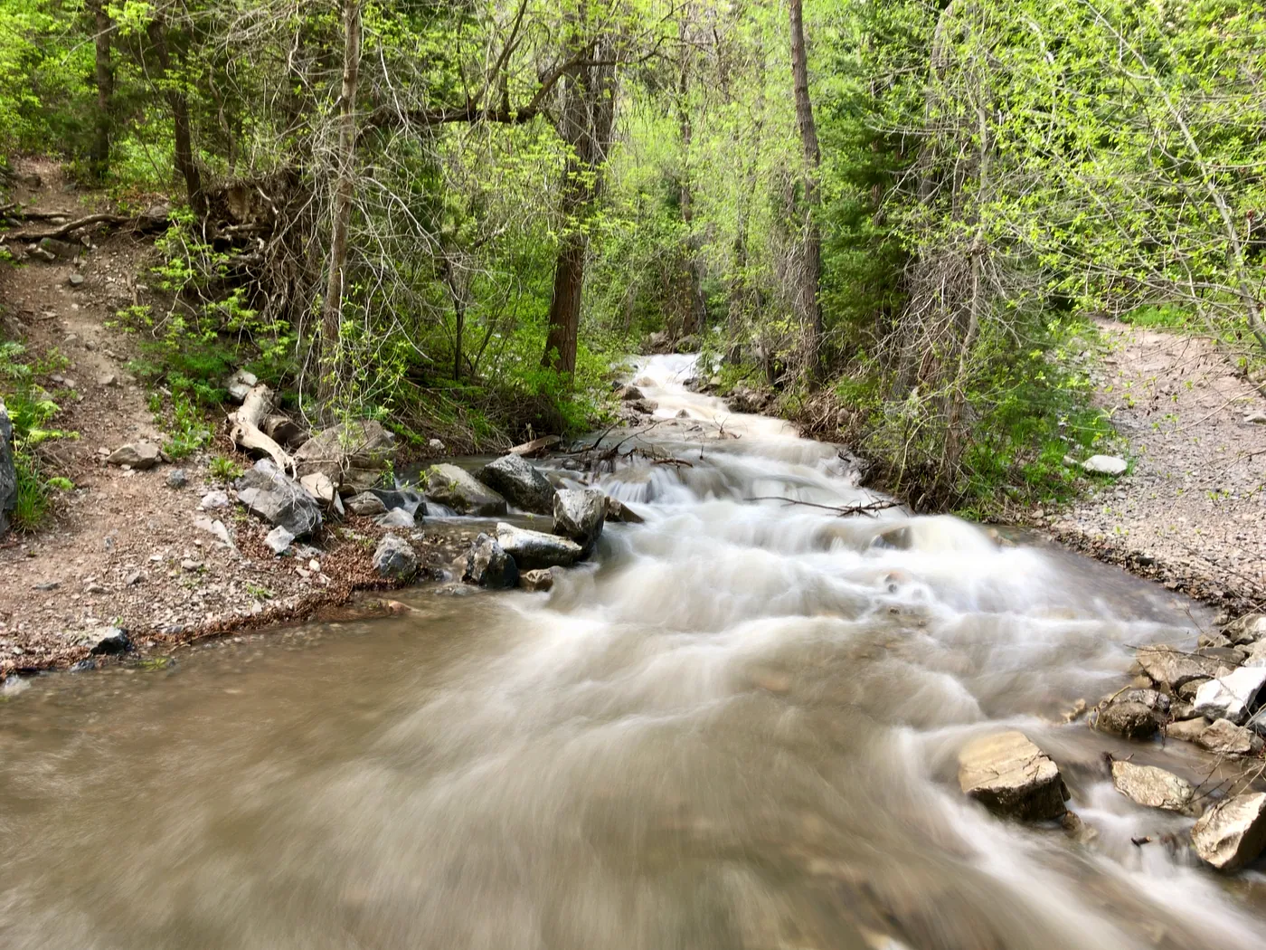 Spring runoff in Rock Canyon, Provo